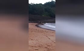 In Brazil, this kick was named as a voadora desengonçada.